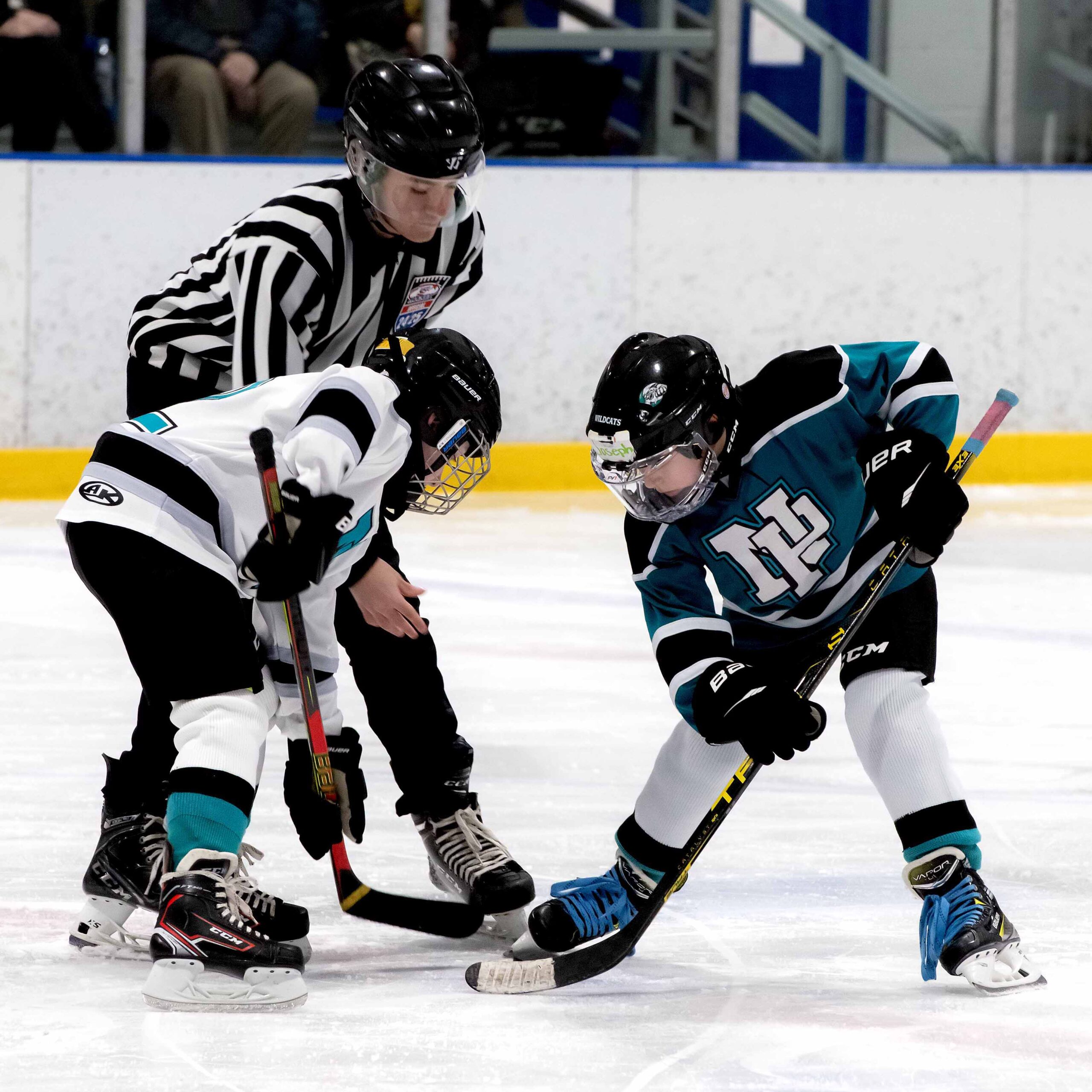 DSC_8082_0438-SQUARE