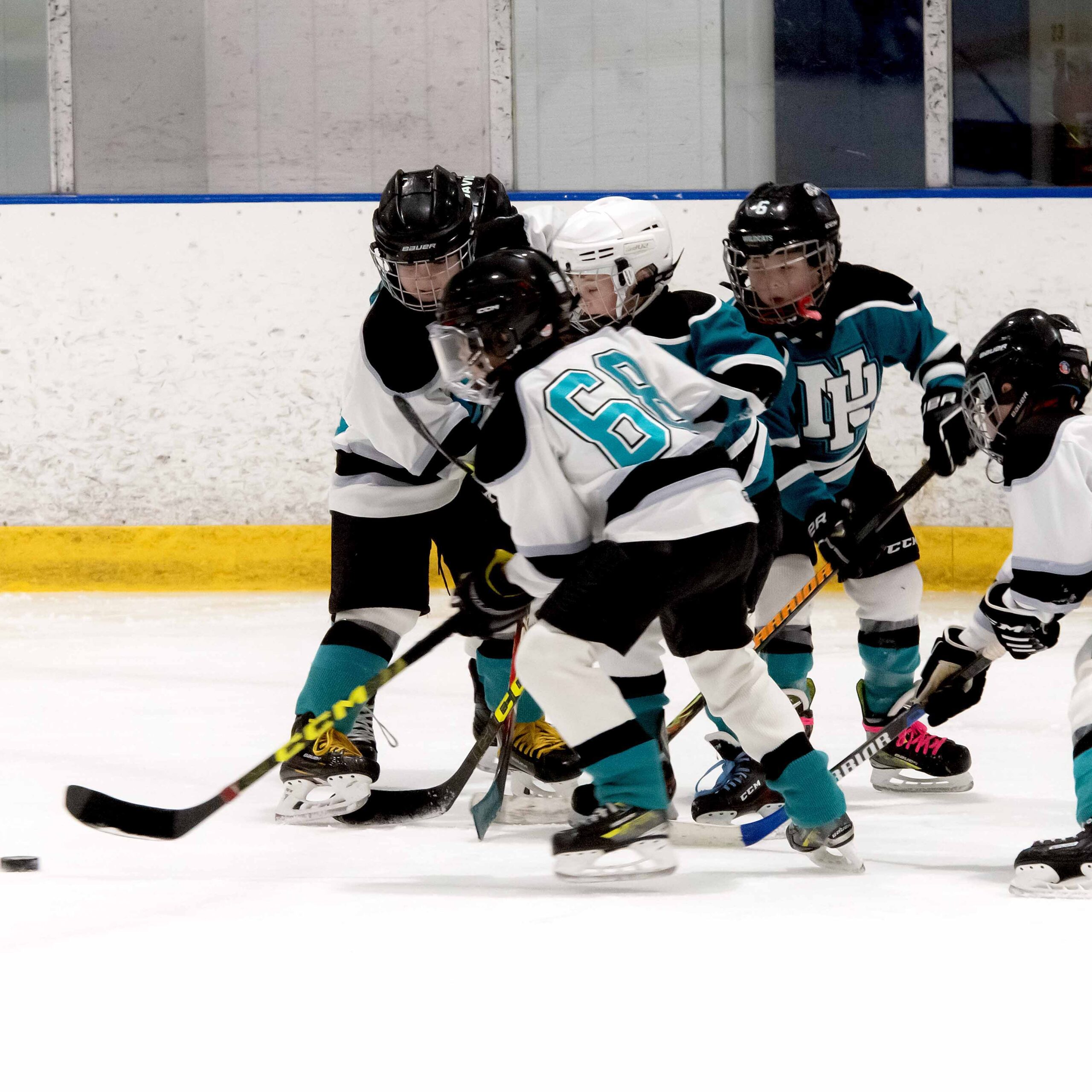 DSC_7871_0225-SQUARE