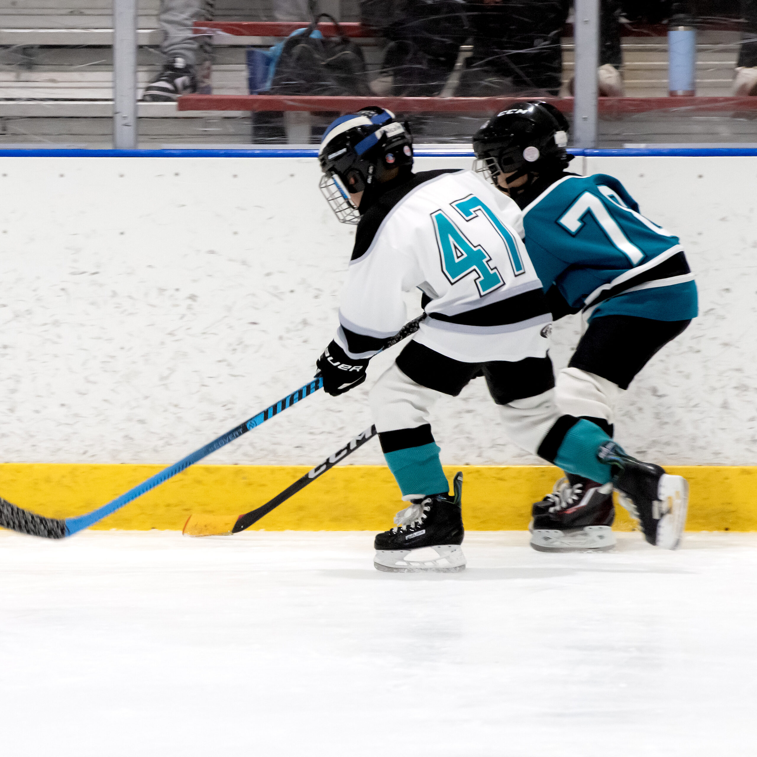 DSC_8211_0567-SQUARE