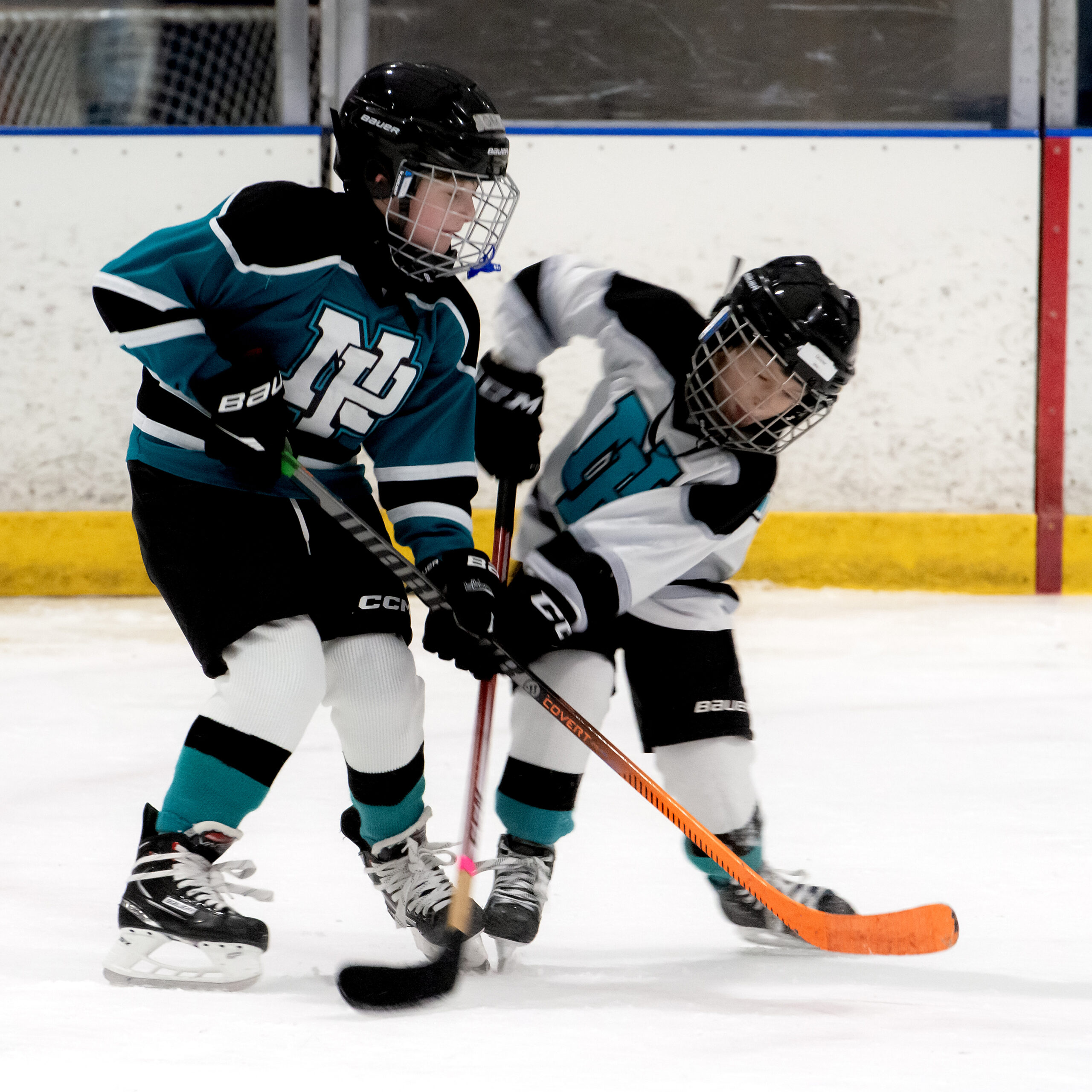 DSC_8271_0626-SQUARE