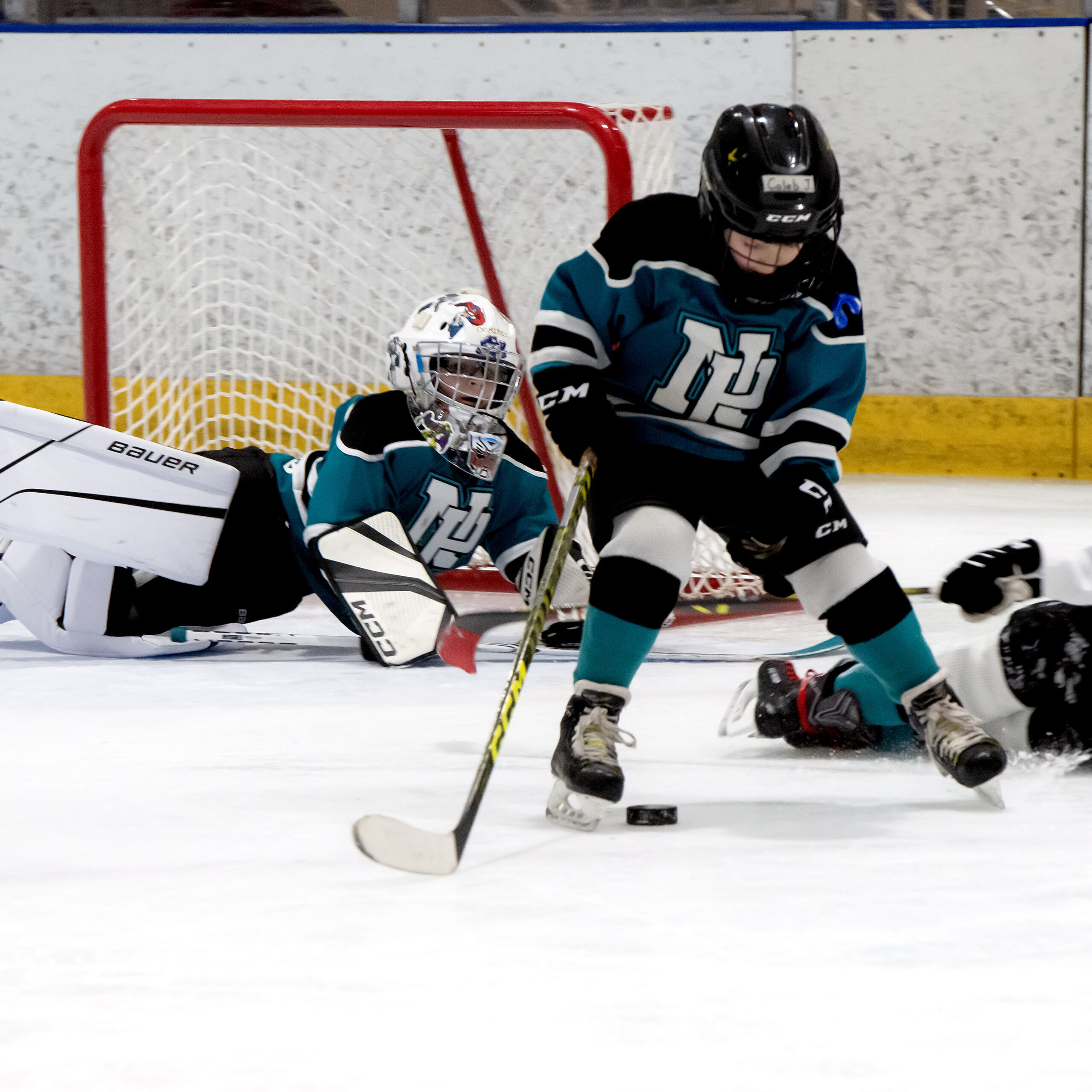 DSC_8174_0528-square